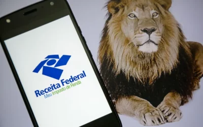 Como escapar da malha fina do Imposto de Renda em 2022?
